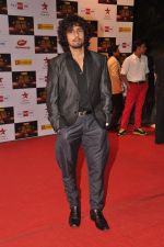 Sonu Nigam at Big Star Awards red carpet in Mumbai on 16th Dec 2012,1 (52).JPG